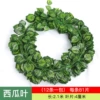 [81片西瓜(1条的价格)]