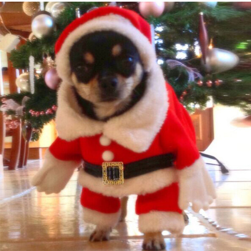 New pet three-dimensional Christmas suit Christmas hat dog clothes transformation outfit Christmas cat pet clothes