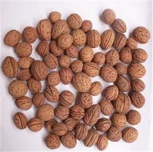 ë�ҷN�����l ë�Ҙ�N�� ë�Һ˷N�� �Ҙ�N�� �����޽ӹ�������