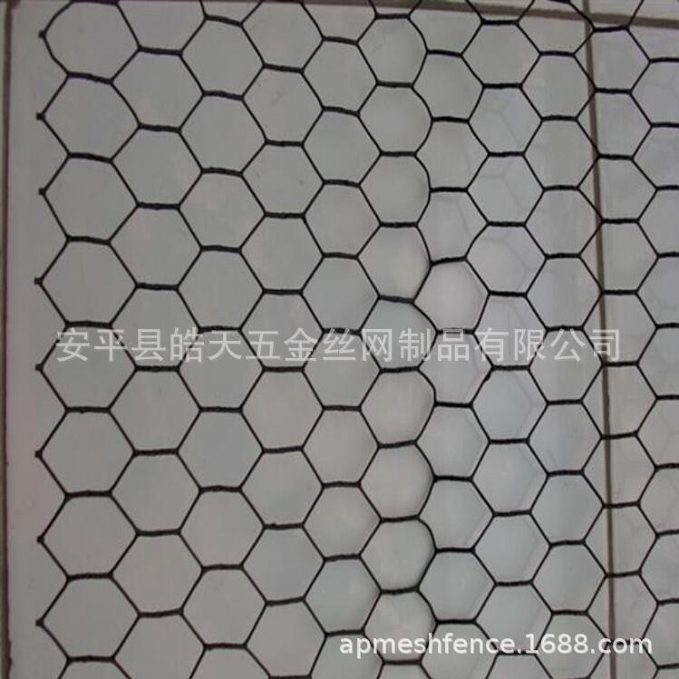 PVC六角网正反拧花网后二分之一热镀锌兔笼网 宽幅鸡笼六角网