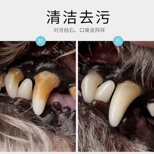 Cross-border Dog and Cat Dental Calculus Cleaning Set Pet Teeth Cleaning Pen Dog and Cat Pet Teeth Whitening Pen Teeth Cleaning Tool