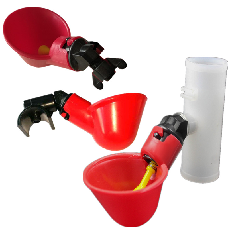 Wholesale thickened pigeon drink water heater automatic drinking…