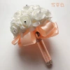 [雪芽色]