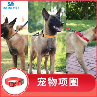 Factory wholesale DODOPET pet dog collar pet supplies medium and large dog collar dog collar