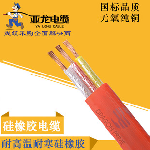 YGC�����z�ͺ��͸ߜ���|