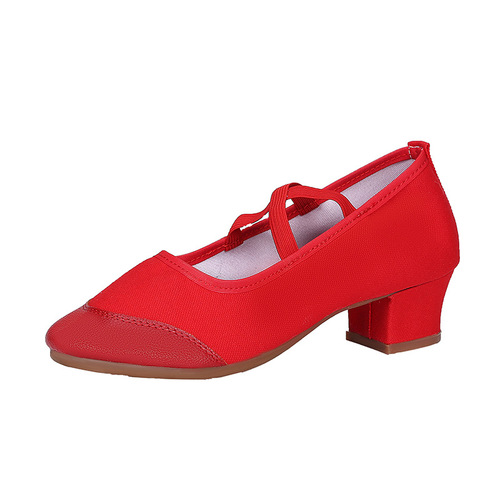Cross-border  New Dance Shoes Soft Sole Dance Shoes Dance Shoes Women's Latin Dance Shoes Square Dance Shoes Dance