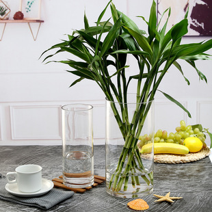 Extra Large Transparent Glass Vase Ornaments Living Room Flower Arranging Nordic Style Straight Cylindrical High Rich Bamboo Household Large Size