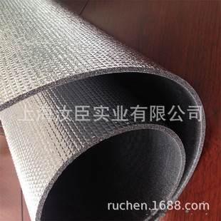 �Ϻ����� XPE���X������ IXPE���d��Ӽܘ�l�ݲ��� �X����������