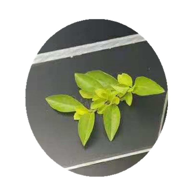 有机玻璃厂家  厂家优惠PS有机玻璃 PMMA有机玻璃工厂直供