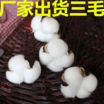 新疆天然手工棉花干花花束永生花棉花头批发diy圣诞装饰材料花环