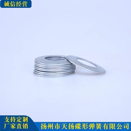 碟形弹簧;压缩弹簧;异形弹簧