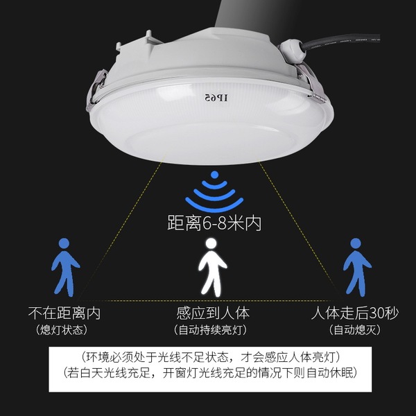 LED ceiling light