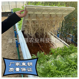 泡沫板浅液流水培 水培蔬菜水培槽叶菜无土栽培 蔬菜栽培槽