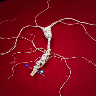 �L��ɽ�˅��Y�Ї��zҰɽ�������ص���؛80���׶Y����Sһ�����l