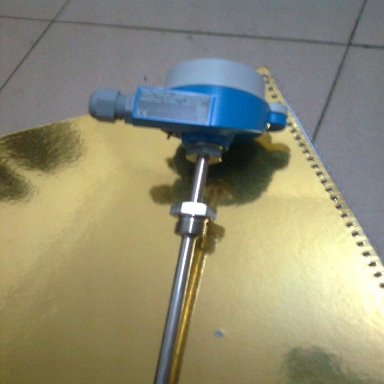 Tr65 German E+H Integrated Temperature and Humidity Transmitter Tr10 Pt100 Probe Temperature Sensor Tmt184