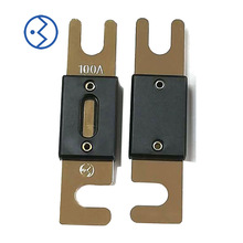 ������������ ANL ��˨ʽ 100A48V �糵��˨ʽ������������˿