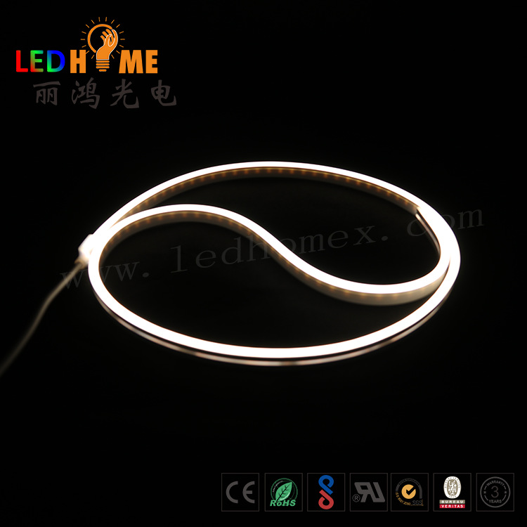 厂家直销1212低压12/24V灯带RGB柔性霓虹灯LED灯户外装饰防水节能