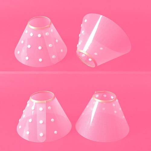 Elizabethan circle gold edge circle plastic snap type anti-bite and anti-scratch cat and dog collar manufacturer wholesale