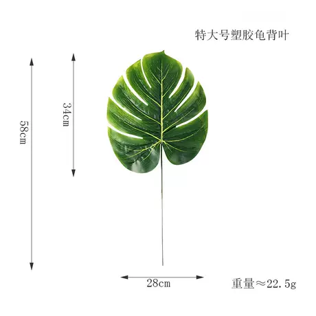 Extra large plastic turtle back★