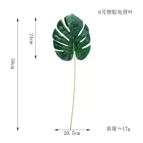 No. 6 glued turtle leaf★