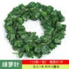 [81片绿萝(1条的价格)]