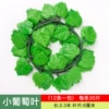 [小号30片(1条的价格)]