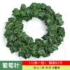 [81片葡萄(1条的价格)]
