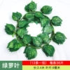 [36片绿萝(1条的价格)]