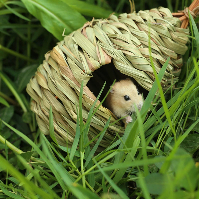 TEMU Douyin Cao Bird Nest креативная ручная птица клетка сад декоративный домик для птиц экологический птице гнездо обогревательные принадлежности