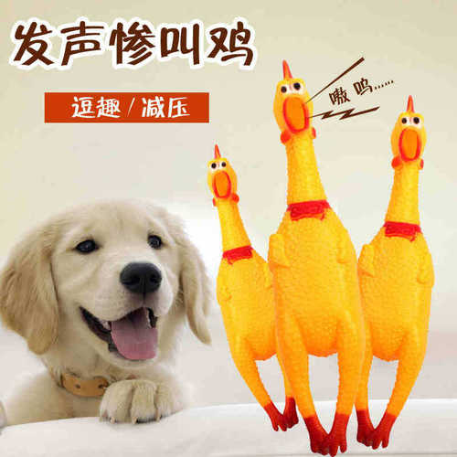 Dog toys making noises Teddy small and medium-sized dogs desperate chicken cooing chicken screaming chicken screaming chicken pet supplies wholesale