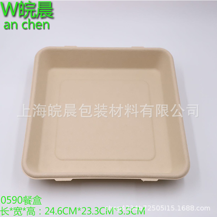 一次性饭盒 降解餐盒披萨盒正方形纸盒