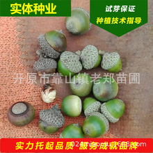 FNɹřNəIBѲ|ɹŷLN