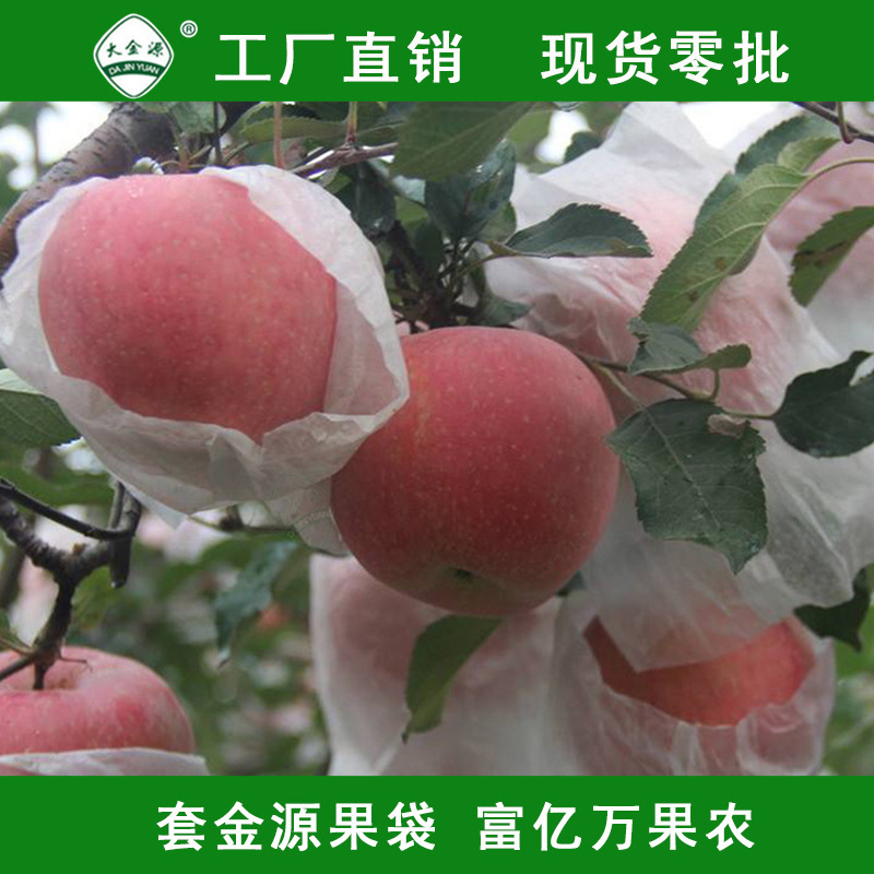 大金源牌高品质苹果白蜡袋 新型苹果套袋水果套袋纸袋厂家生产