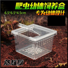 ���x��B�Ќ���֩�����w���� ���w�OӋ��Խ�z����ιʳ