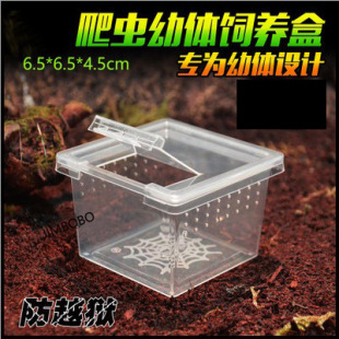 ���x��B�Ќ���֩�����w���� ���w�OӋ��Խ�z����ιʳ