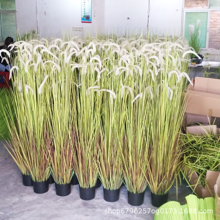 En stock Reed al por mayor simulación dogtail en maceta grande flor seca cattail hierba piso Decoración