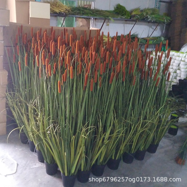 En stock Reed al por mayor simulación dogtail en maceta grande flor seca cattail hierba piso Decoración