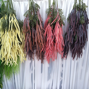 ���滨���l��֦���ٹ�����ֲ�����Ի�ˇ�[����c�b��ٗl�F؛