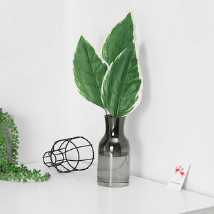 Artificial plant, realistic accessories for home use, photography props