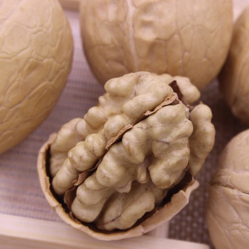 Wholesale Xinjiang walnuts 500g bags of new arrival thin-skinned walnuts 5kg whole box with paper-skinned walnut kernels for shipping