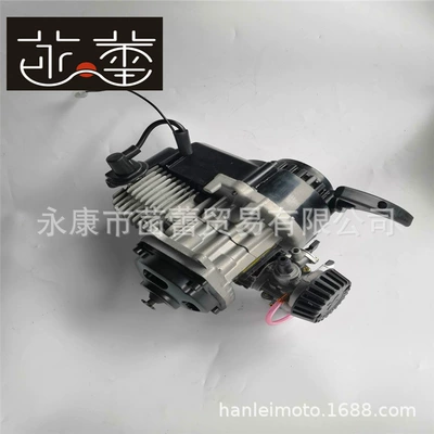 Hand-Pull Small Engine Garden Gasoline – Engine assembly