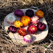 ���߲ʾջ��^����Ʒ��ɫϞ�ոɻ��^��Ȼ�滨���ﻨ��������������