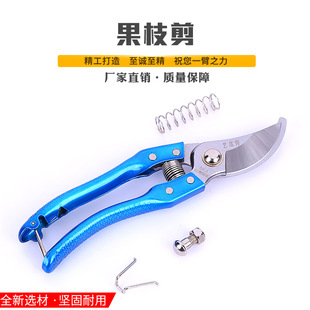 ��֦����Ҏ�����ʡ����֦�����@���� ��֦��֦��
