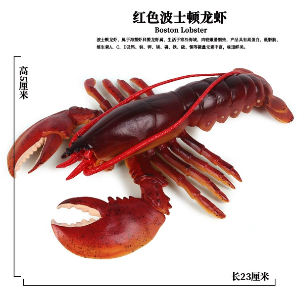 PL127-910 Boston Lobster