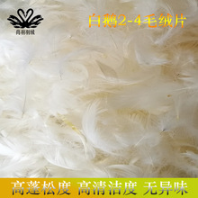 羽绒厂家2-4四箱水洗纯白白鹅绒片用于沙发枕芯床垫批发清洁无味