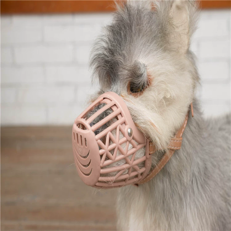 Собачий рот против укуса