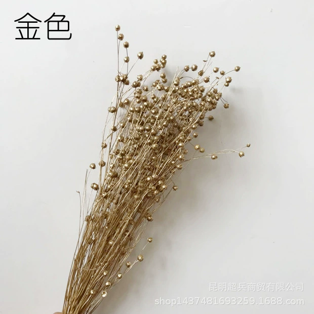 【Eternal Flower Acacia Bean】Yunnan Craft Gift Materials Dried Flower Fugui Beans (Fugui Beans) Shiba Beans