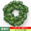 [81片海棠(1条的价格)]