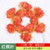 [30片红枫((1条的价格)]