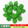 [大号30片(1条的价格)]